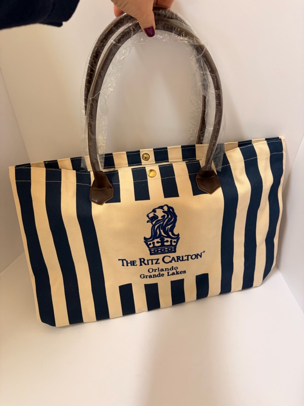 The Ritz Carlton Striped Tote Bag in Navy and Cream